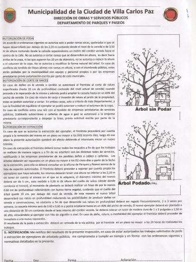EXTRACCION DE ARBOLES VCP